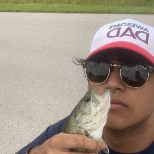 Meet your Posher, Rohan